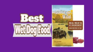 Best Wet Dog Food