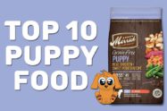 Top 10 Puppy Food