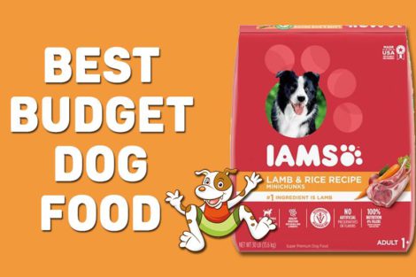 Dog Food Reviews Archives Petmoo