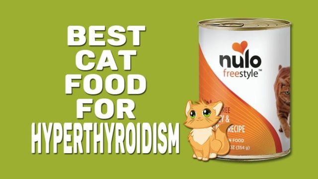 10 Best Cat Food For Hyperthyroidism In 2023 Petmoo   Best Cat Food For Hyperthyroidism 640x360 