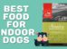 Best Food For Indoor Dogs