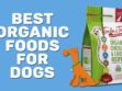 Best Organic Foods For Dogs