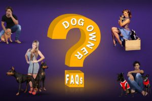 Dog Owner FAQs