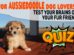 Aussiedoodle Dog Quiz