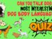 Dog Body Language Quiz