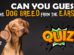 Guess Dog Breed From Ears Quiz