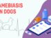 Amebiasis In Dogs