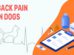 Back Pain In Dogs