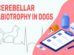 Cerebellar Abiotrophy In Dogs