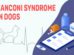 Fanconi Syndrome In Dogs