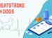 Heatstroke In Dogs