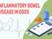 Inflammatory Bowel Disease In Dogs