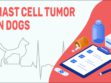 Mast Cell Tumor In Dogs