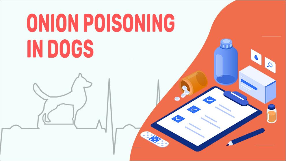 Onion Poisoning In Dogs