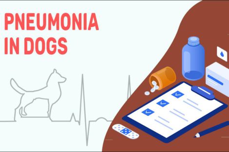 Pneumonia In Dogs