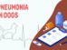 Pneumonia In Dogs