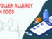 Pollen Allergy In Dogs