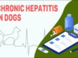 Chronic Hepatitis In Dogs