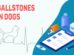 Gallstones In Dogs