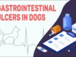 Gastrointestinal Ulcers In Dogs