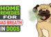 Home Remedies For Bad Breath In Dogs