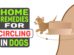 Home Remedies For Circling In Dogs