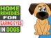 Home Remedies For Tearing Eyes In Dogs