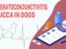 Keratoconjunctivitis Sicca In Dogs