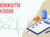 Meningitis In Dogs