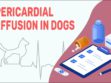 Pericardial Effusion In Dogs