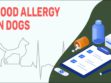 Food Allergy In Dogs