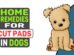 Home Remedies For Cut Pads In Dogs