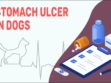 Stomach Ulcer In Dogs