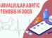 Subvalvular Aortic Stenosis In Dogs