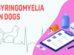 Syringomyelia In Dogs