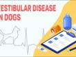 Vestibular Disease In Dogs