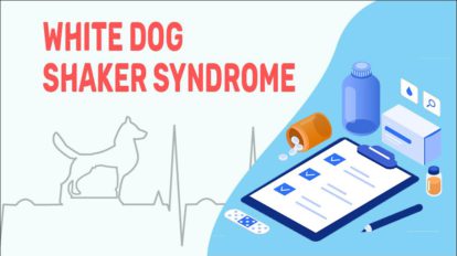 White Dog Shaker Syndrome 414x232 