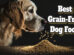 Best Grain Free Dog Food