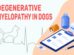 Degenerative Myelopathy In Dogs