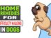 Home Remedies For Difficulty Walking In Dogs