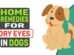 Home Remedies For Dry Eyes In Dogs