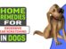 Home Remedies For Excessive Ear Scratching In Dogs