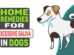 Home Remedies For Excessive Saliva In Dogs