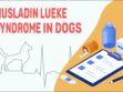 Musladin Lueke Syndrome In Dogs