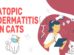 Atopic Dermatitis In Cats