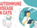 Autoimmue Disease In Cats