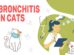 Bronchitis In Cats