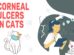 Corneal Ulcers In Cats