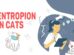 Entropion In Cats