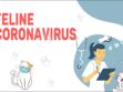 Feline Coronavirus